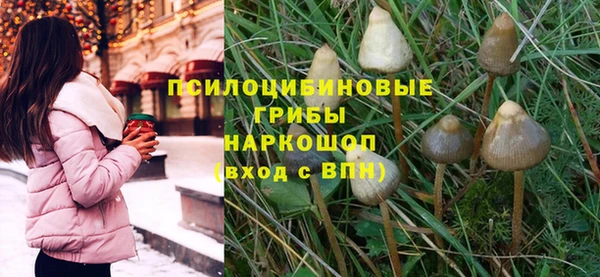 мдпв Ладушкин