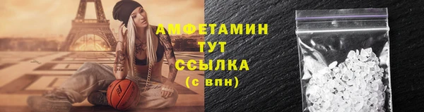винт Лагань