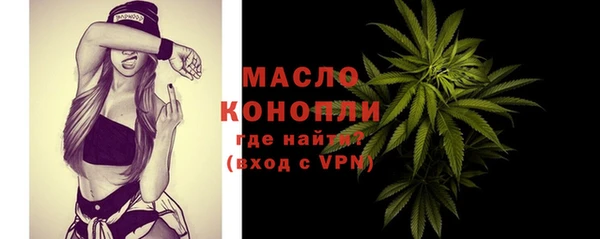 мдпв Ладушкин