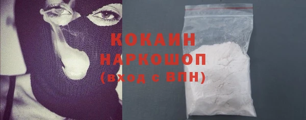 мдпв Ладушкин