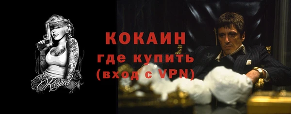 винт Лагань