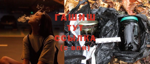мдпв Ладушкин