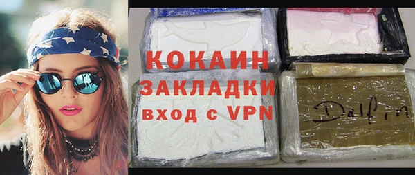 винт Лагань