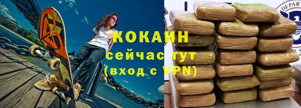 винт Лагань