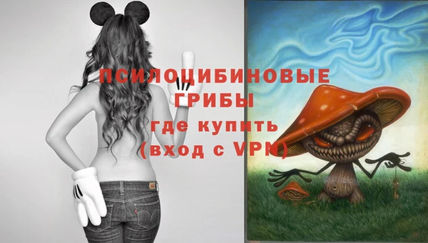 мдпв Ладушкин