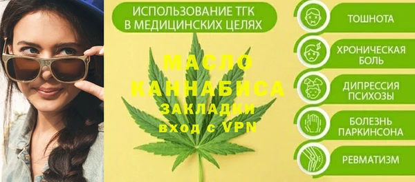 мдпв Ладушкин