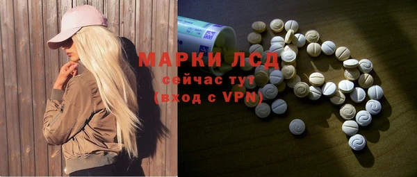 мдпв Ладушкин