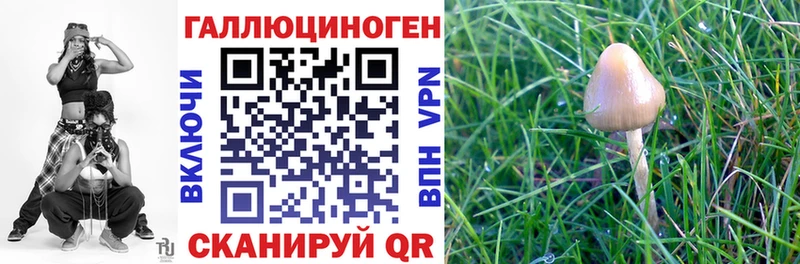 как найти закладки Славгород Галлюциногенные грибы GOLDEN TEACHER