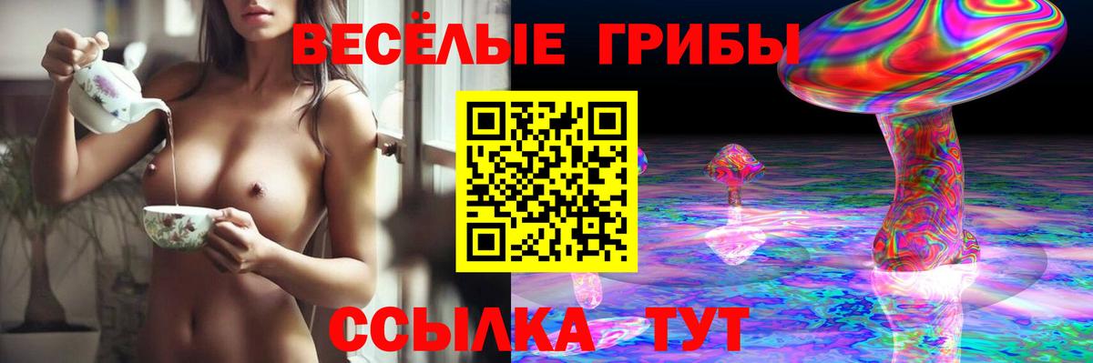 Славгород  Псилоцибиновые грибы ЛСД  Вход с VPN 