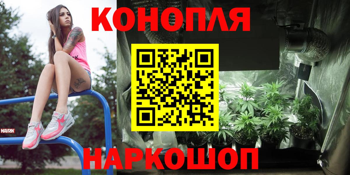 Каннабис Bruce Banner  МАРИХУАНА семена  Вход с VPN  Славгород 